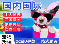 河东航空空运国际宠物托运 【国